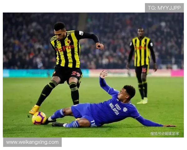 沃特福德足球俱乐部历史、成就与未来发展展望