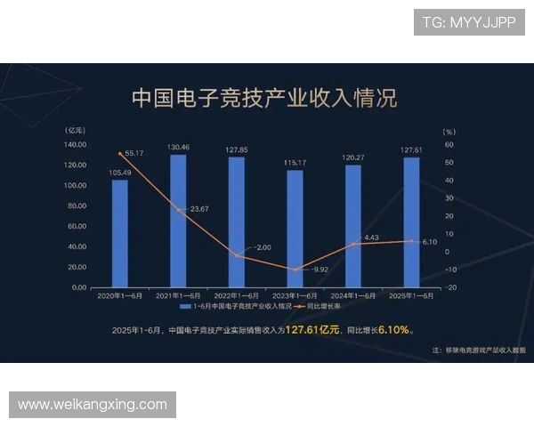 《全球电竞产业持续升温 国内外赛事规模不断扩大 电竞选手收入创新高》